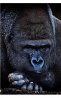 Gorilla Lovers Writing & Sketching Notebook Journal