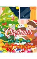 Christmas Color By Number Adult Coloring Book