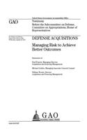 Defense acquisitions: managing risk to achieve better outcomes: testimony before the Subcommittee on Defense, Committee on Appropriations, House of Representatives