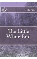 Little White Bird