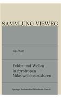 Felder und Wellen in gyrotropen Mikrowellenstrukturen
