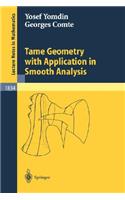 Tame Geometry with Application in Smooth Analysis