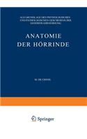 Anatomie Der Hörrinde