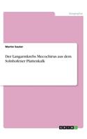 Der Langarmkrebs Mecochirus aus dem Solnhofener Plattenkalk