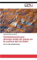 Contaminación por drenaje ácido de minas en la cuenca del río Odiel