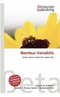 Bombus Variabilis