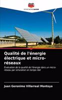 Qualité de l'énergie électrique et micro-réseaux