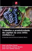 Trabalho e produtividade de capital na uva (Vitis vinifera L.)