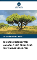 Basisgemeinschaften Mahafale Und Erhaltung Der Waldressourcen