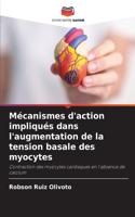 Mécanismes d'action impliqués dans l'augmentation de la tension basale des myocytes