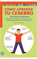 Cómo Aprende Tu Cerebro