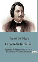 Histoire de la grandeur et de la décadence de César Birotteau