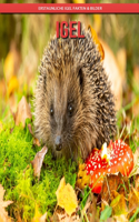 Igel