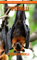 Tutto sui Pipistrelli