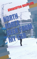 North Korea Seen from My Car