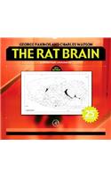 The Rat Brain in Stereotaxic Coordinates