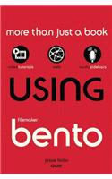 Using FileMaker Bento, Portable Documents