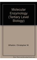 Molecular Enzymology