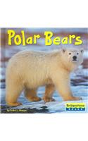 Polar Bears