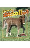 ¿Qué Es Un Caballo? (What Is a Horse?)