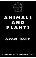 Animals And Plants