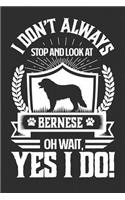 I Don't Always Stop and Look At Bernese OH Wait, Yes I Do!: Gifts for Dog Owners 100 page Daily 6 x 9 journal to jot down your ideas and notes