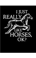 I Just Really Like Horses OK?