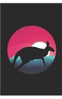 Kangaroo Moon