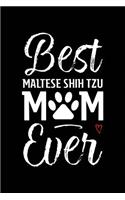 Best Maltese Shih Tzu Mom Ever