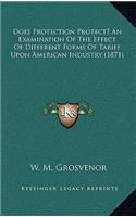 Does Protection Protect? an Examination of the Effect of Different Forms of Tariff Upon American Industry (1871)