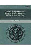 Geometric Algorithms for Electromagnetic Modeling of Large Scale Structures