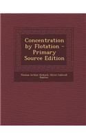 Concentration by Flotation - Primary Source Edition