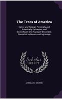 The Trees of America