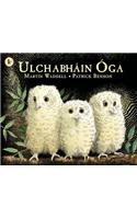 Ulchabhain Oga (Owl Babies)