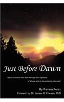 Just Before Dawn: Hope for Those Who Walk Through the Nighttime of Abuse and Its Devastating Aftermath(English)