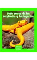 Todo Acerca de Las Serpientes Y Los Lagartos: (Wonder Readers Spanish Early)