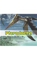 Pterodactyl