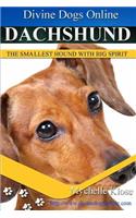 Dachshunds