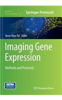 Imaging Gene Expression