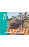 Kangaroo