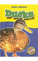 Ducks