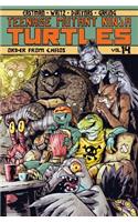 Teenage Mutant Ninja Turtles Volume 14: Order from Chaos