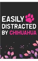 Easily Distracted by Chihuahua