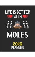 Life Is Better With Moles 2020 Planner: Weekly Monthly 2020 Planner For People Who Loves Moles 8.5x11 67 Pages