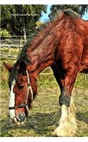 Cheval Carnet de notes: Journal A5 ligné original de 119 pages- Une belle idée de cadeau pour les amoureux des animaux