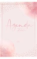 Agenda 2020: Agenda Settimanale, Agenda Giornaliera 2020 - Journalier, Agende, Quaderno, Office e Calendario 2020