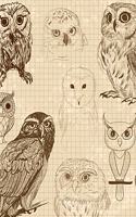 Owl Notebook