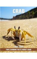 Fun Learning Facts about Crab