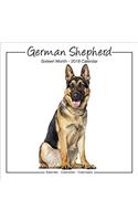 German Shepherd Studio Calendar 2018