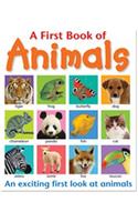 A First Book of Animals: An Exciting First Look at Animals